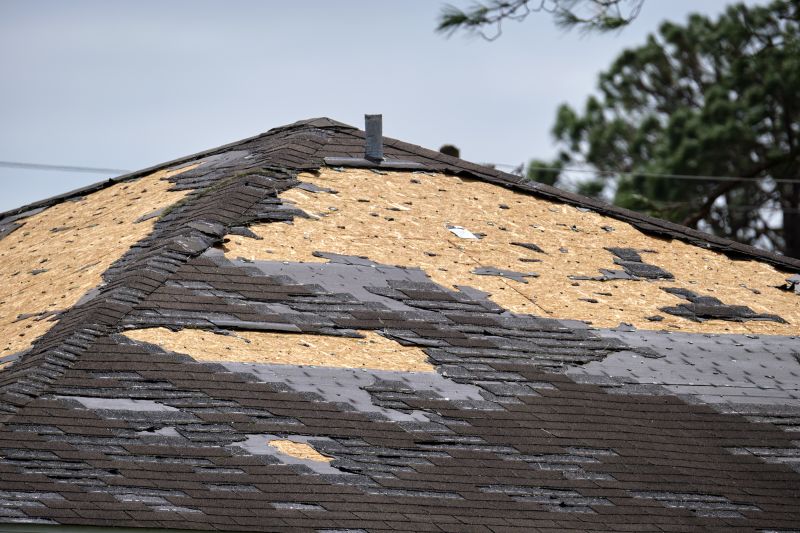 Shingle Repair Work